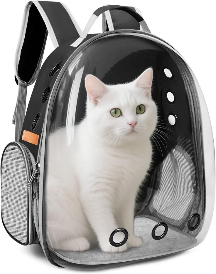 Portable Transparent Cat Backpack Carrier – Breathable Bubble Pet Travel Bag for Cats & Small Pets