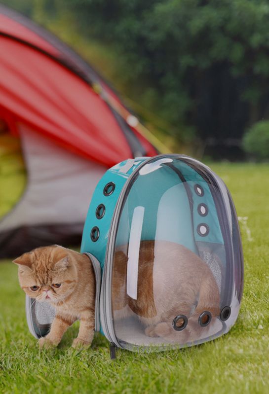 Portable Transparent Cat Backpack Carrier – Breathable Bubble Pet Travel Bag for Cats & Small Pets