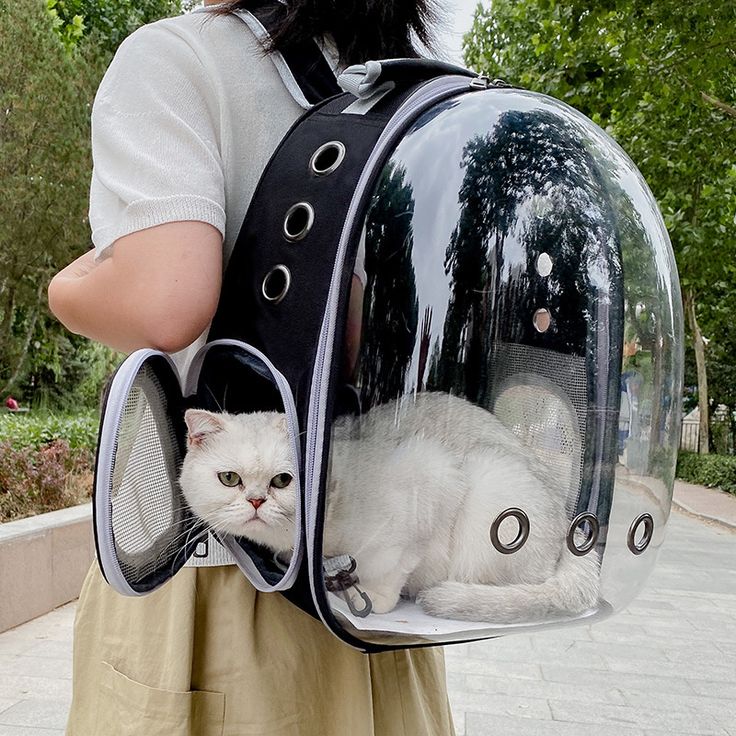 Portable Transparent Cat Backpack Carrier – Breathable Bubble Pet Travel Bag for Cats & Small Pets